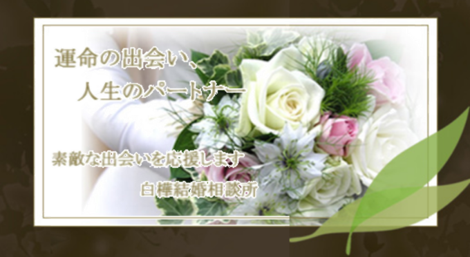 白樺結婚相談所