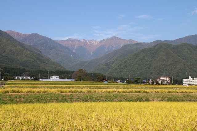 駒ヶ根市の結婚支援をご紹介します