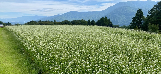 飯島町の結婚支援をご紹介します