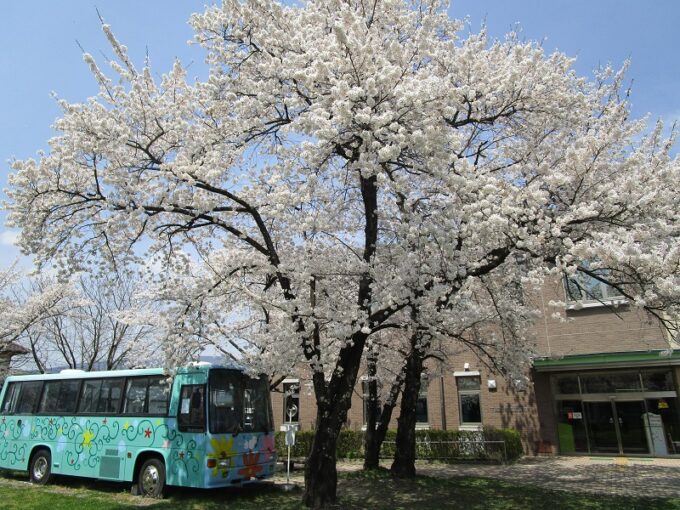 【下諏訪町立図書館】のりものおはなし会