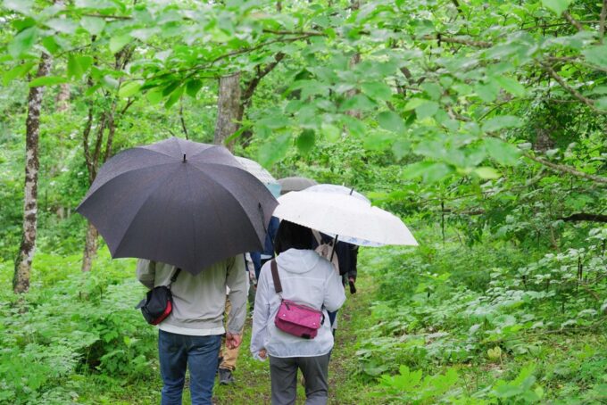 「森恋　IN　信濃町　～風の通るアファンの森で大人の婚活～」イベント開催！