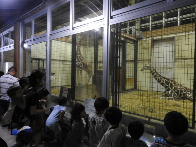 サマーナイトZOO【8/10(日)～8/16(土)開催！】