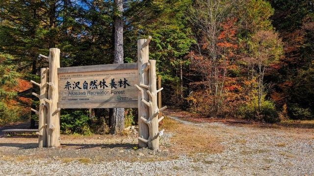 赤沢自然休養林