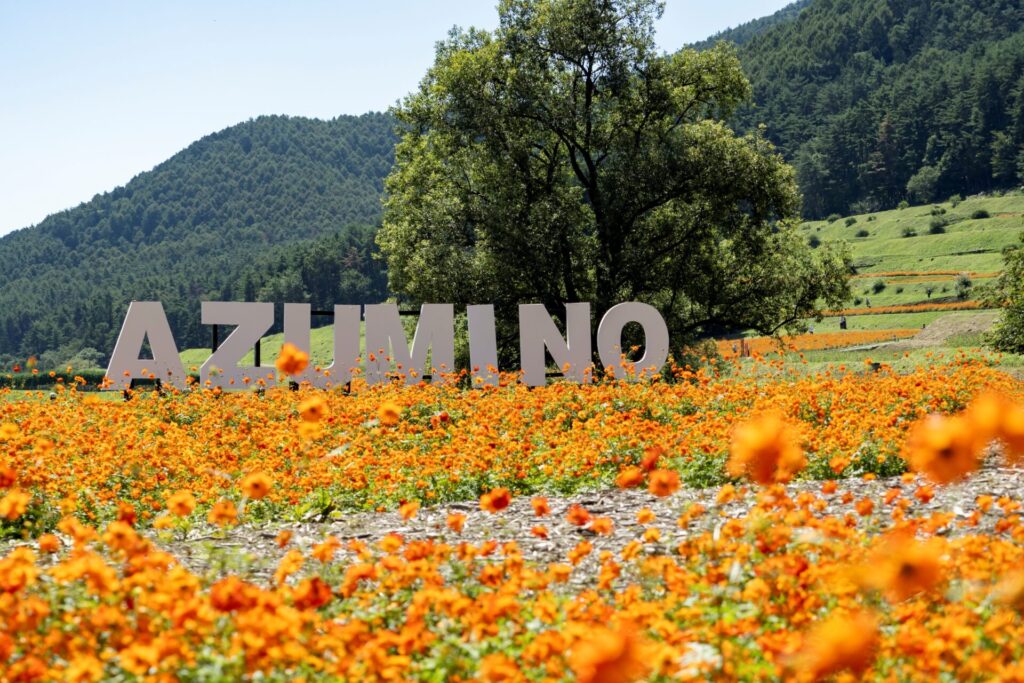 国営アルプスあづみの公園（堀金・穂高地区）