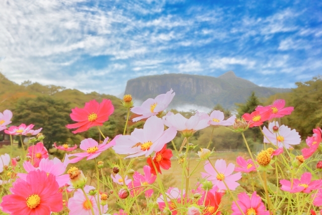 荒船パノラマ キャンプフィールド