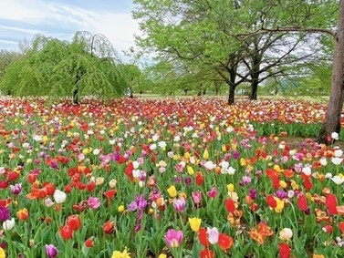 【安曇野市おススメスポットのご紹介】